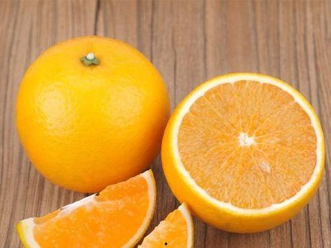 廉江今日爆料最新消息视频,视频揭露惊人真相，详情敬请关注  第3张